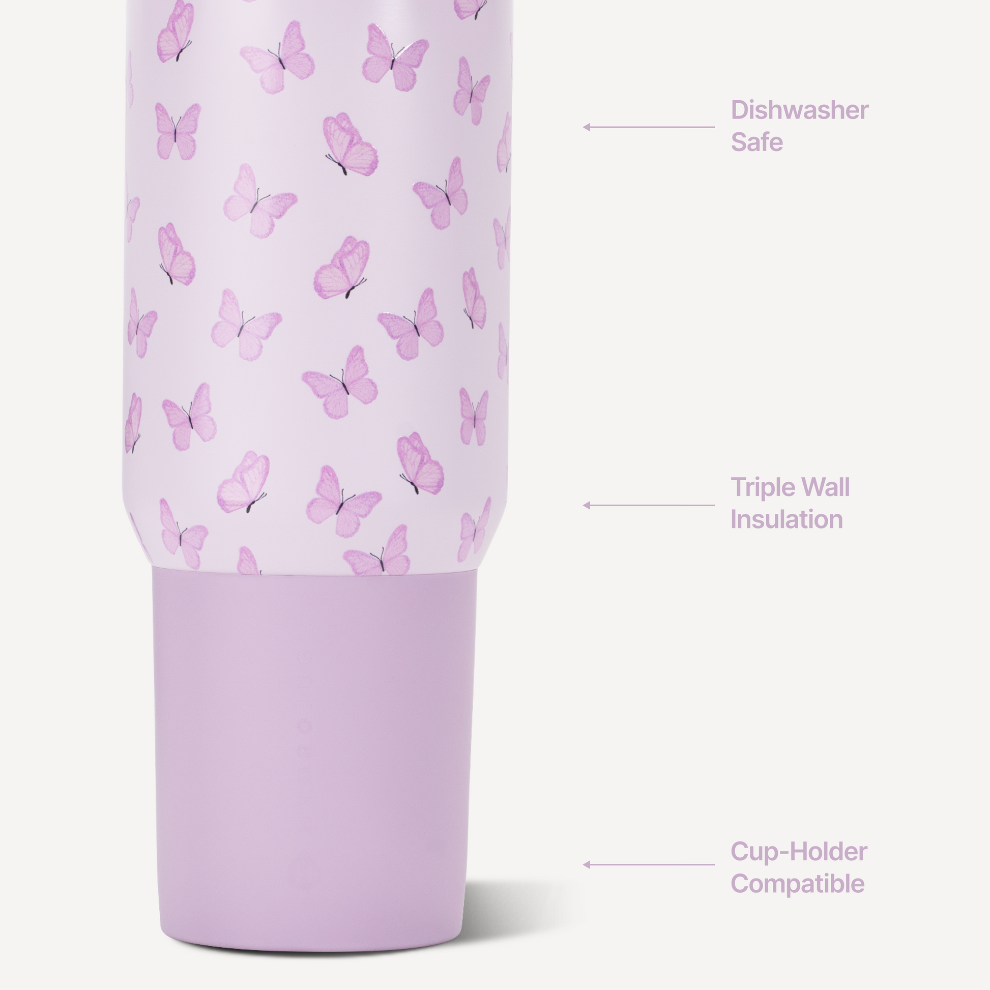 flutter-q1 Sport20-Flutter-3-WPI.png