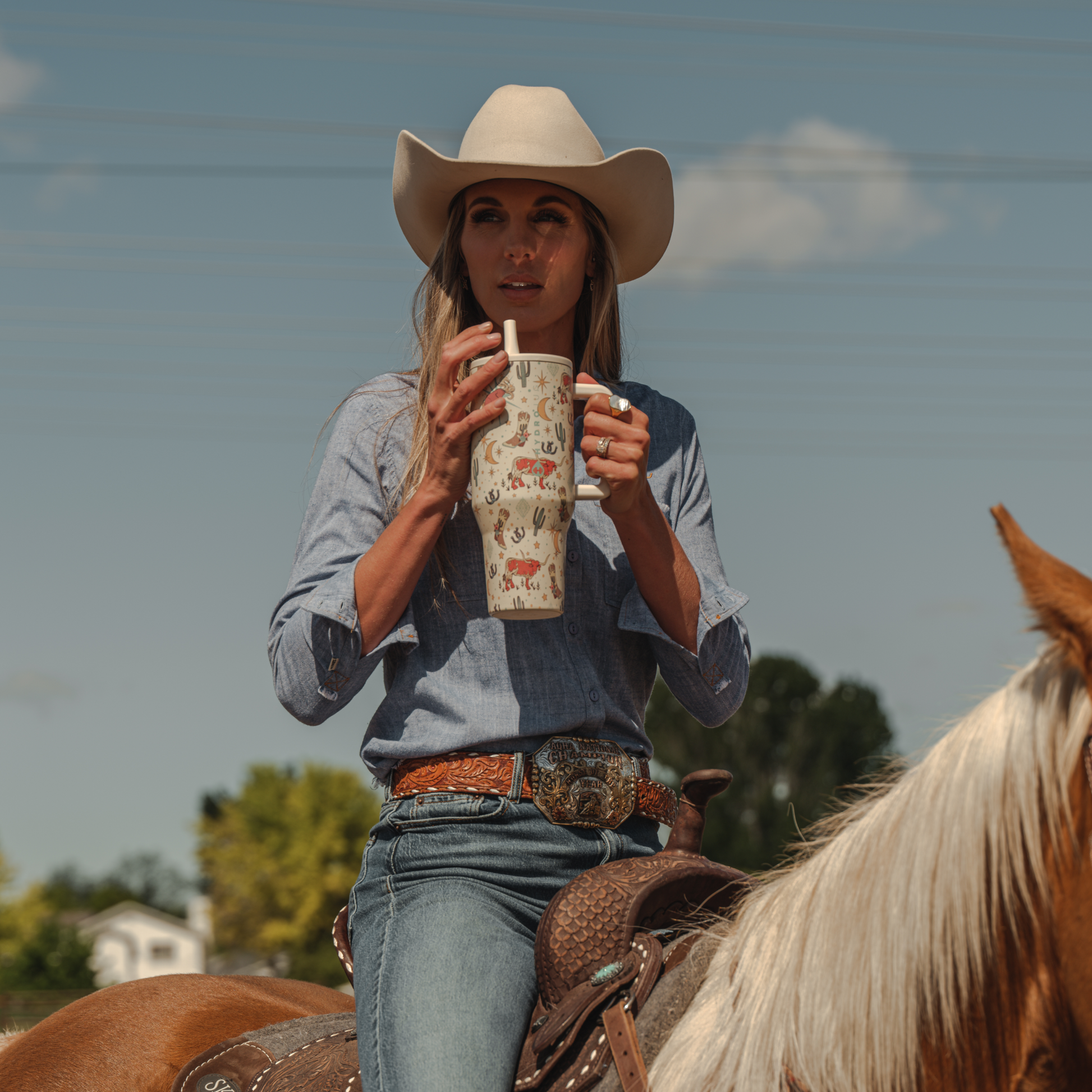 rodeo-o0 TRVL-Rodeo-6WPI.png